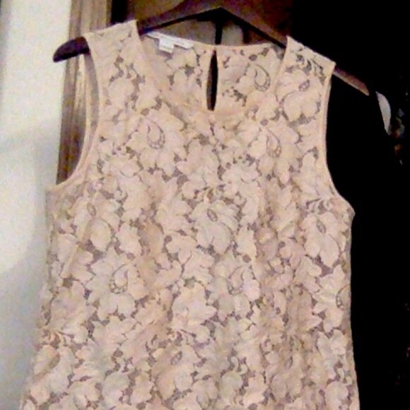 Diane Von Furstenberg Lace Shell, Generous Size 10, Blush - Picture 1 of 2